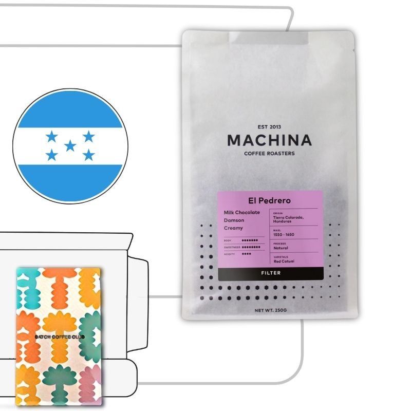 Machina coffee Roasters review