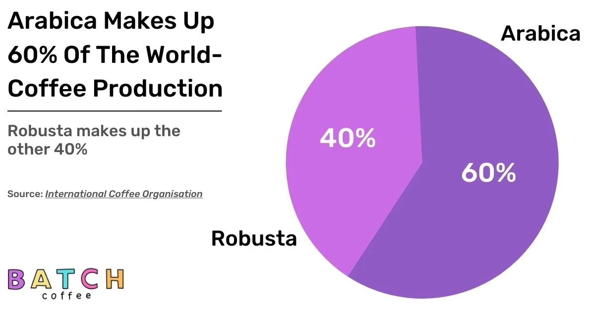 Colombia Arabica or Robusta Coffee