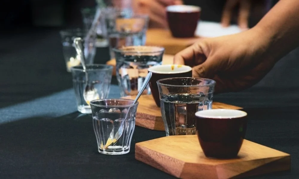 Expensive Coffee in World