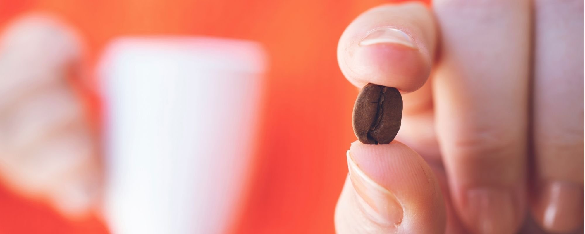 Is It Safe to Eat Coffee Beans? Benefits and Dangers