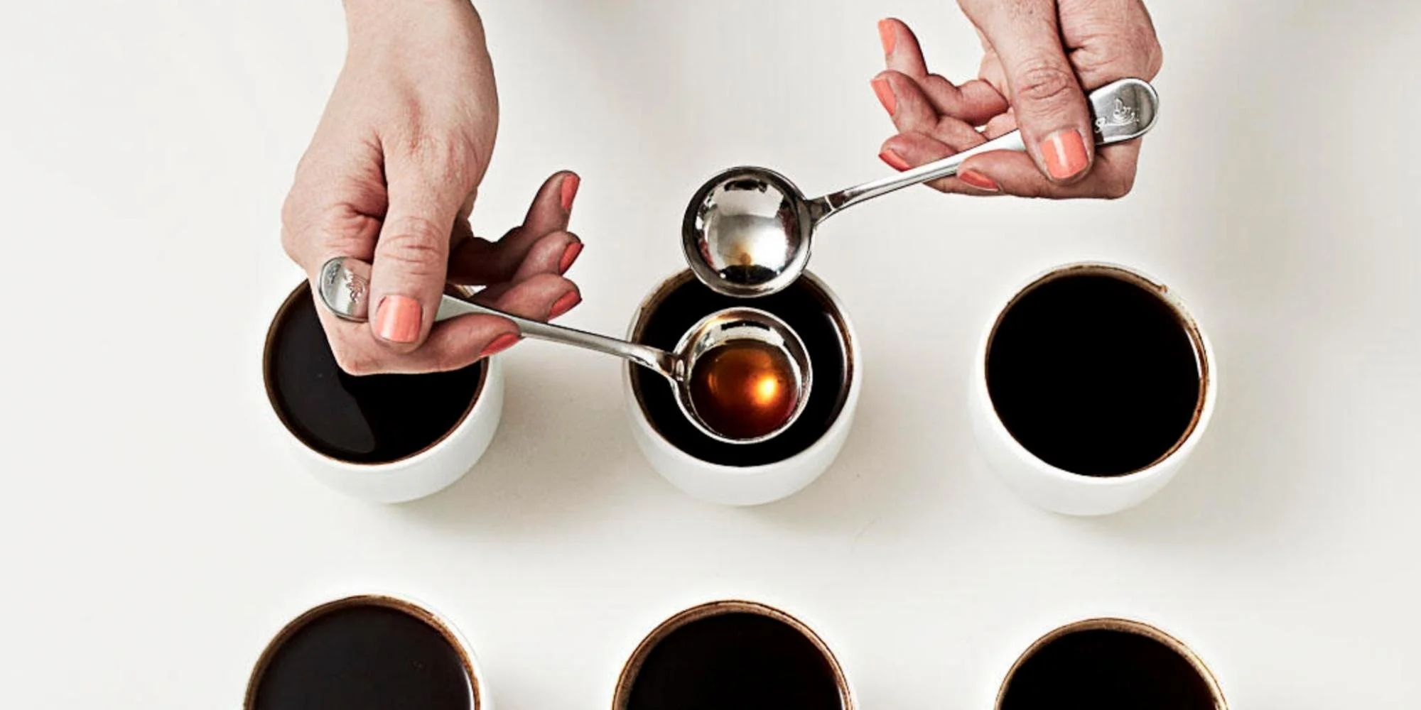 каппинг кофе. профессиональная дегустация кофе (каппинг). каппинг. пробовали кофе. профессиональная дегустация кофе (каппинг).