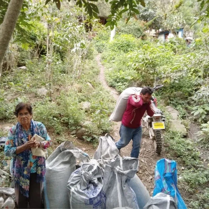Cusco Coffee Farming
