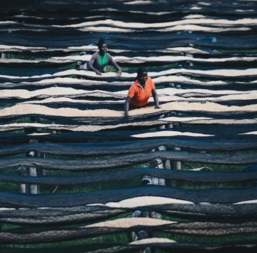 Deluxe Coffee Rwanda.jpg