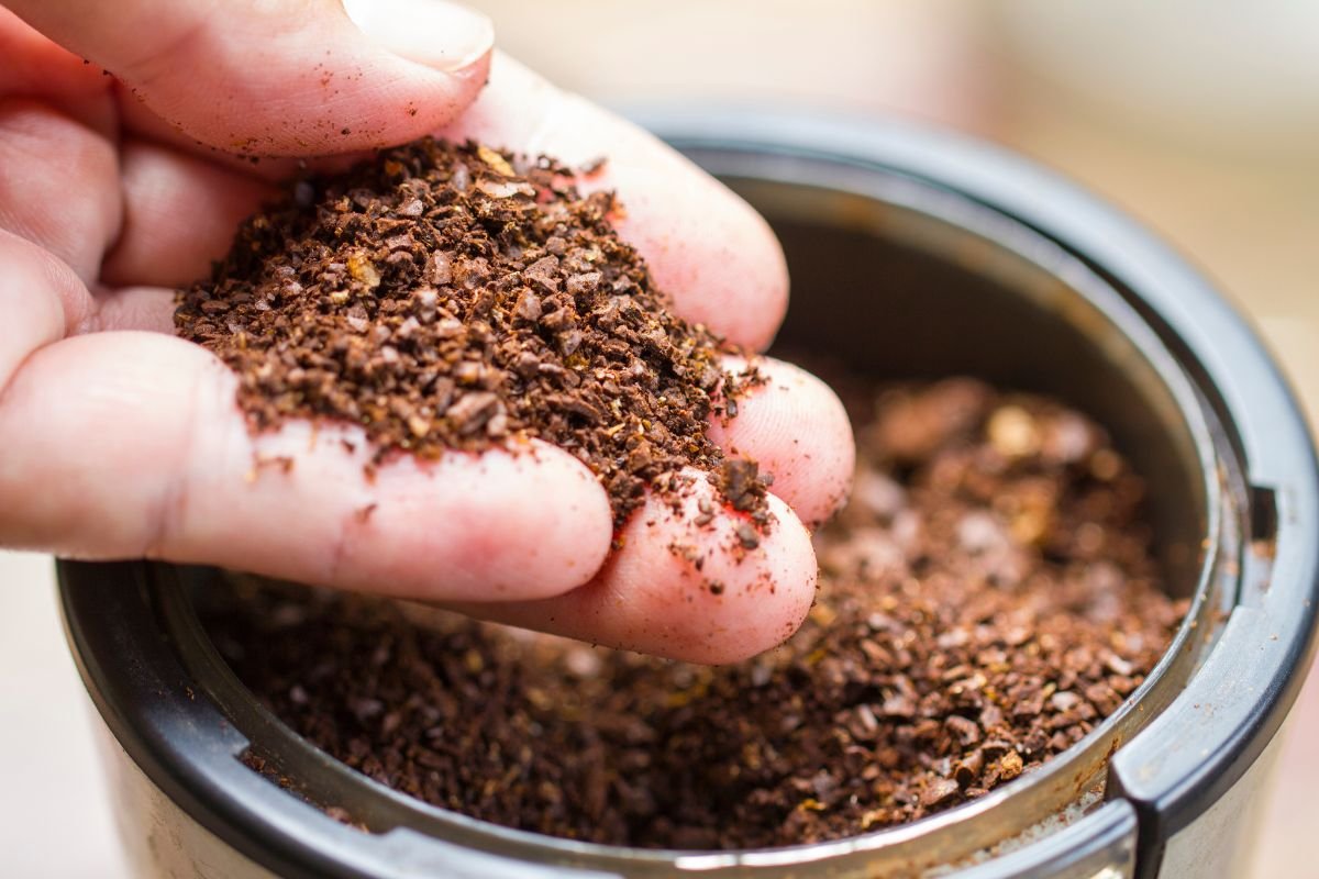 Fine Grind French Press Coarseness Coarse French Press Fine Ground