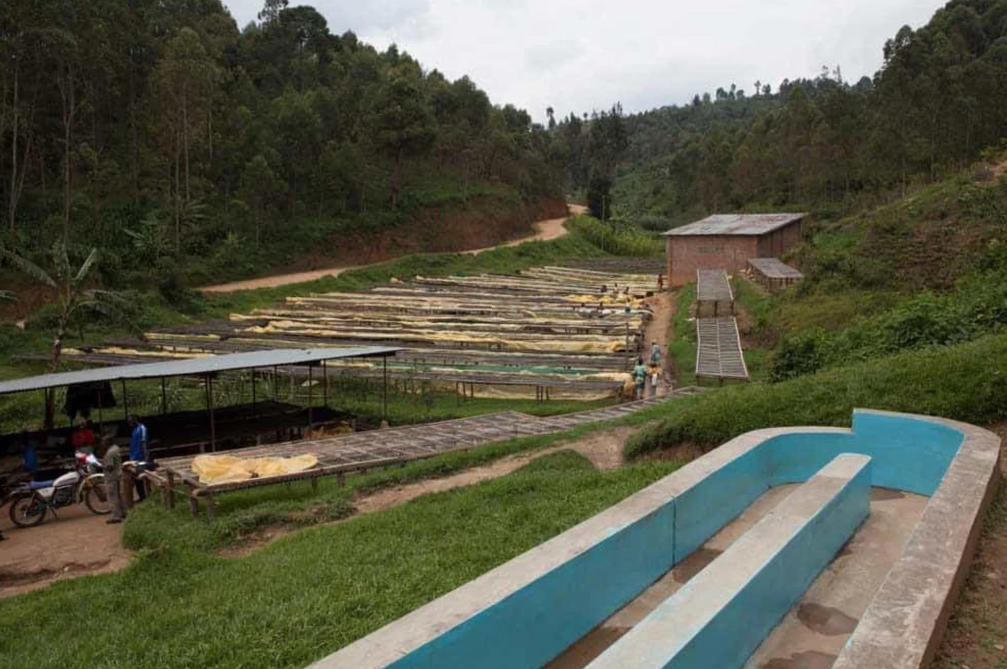 NYUNGWE Washing Station Rwanda.jpg