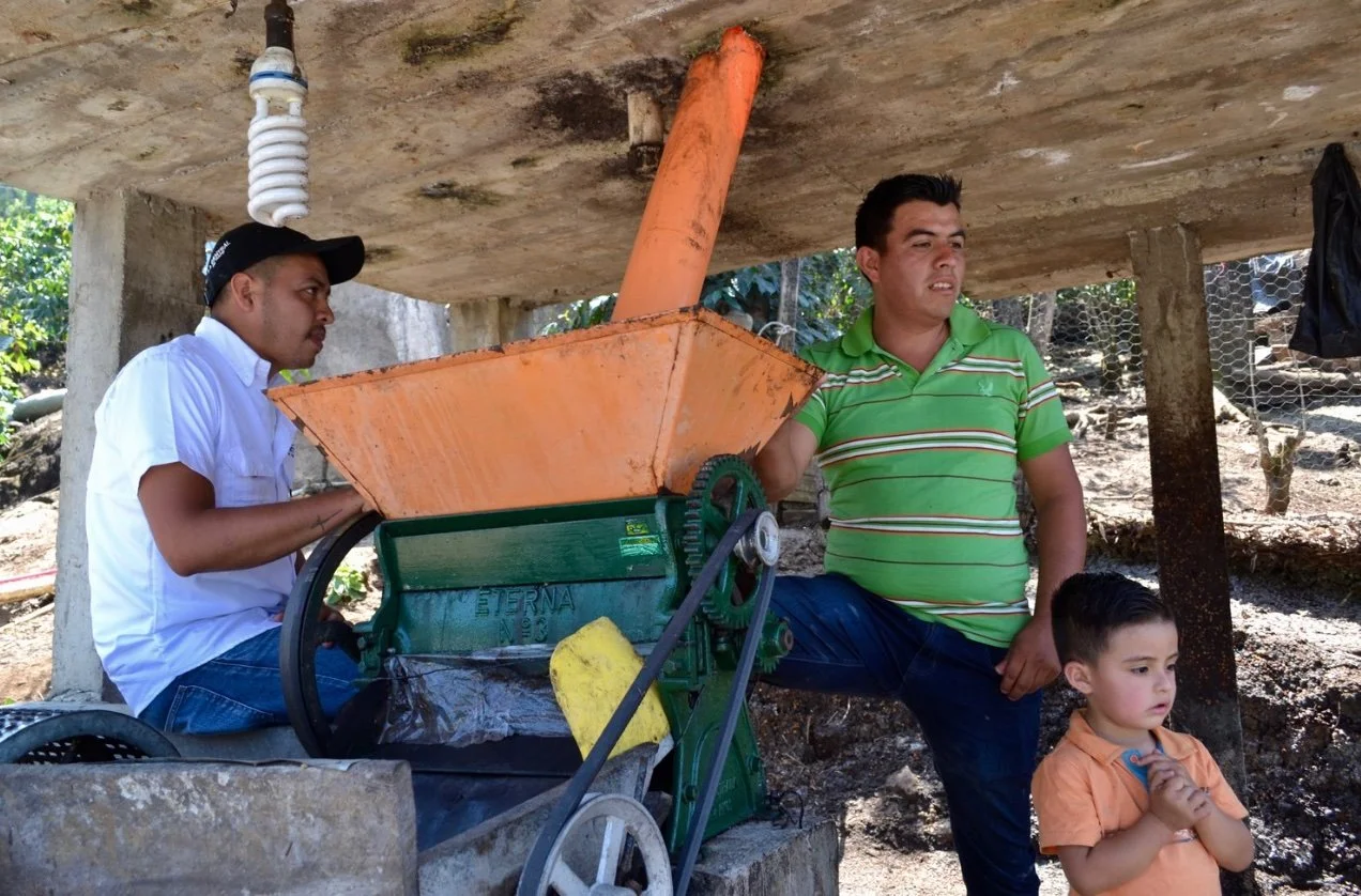 Denin de leon In Guatemala.jpg