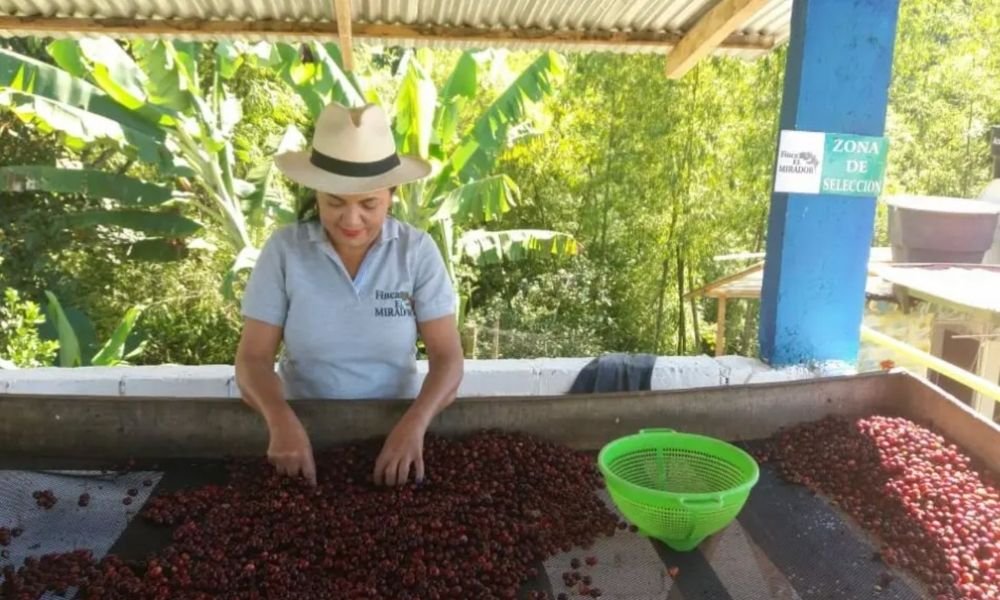 Finca El Mirador Colombia