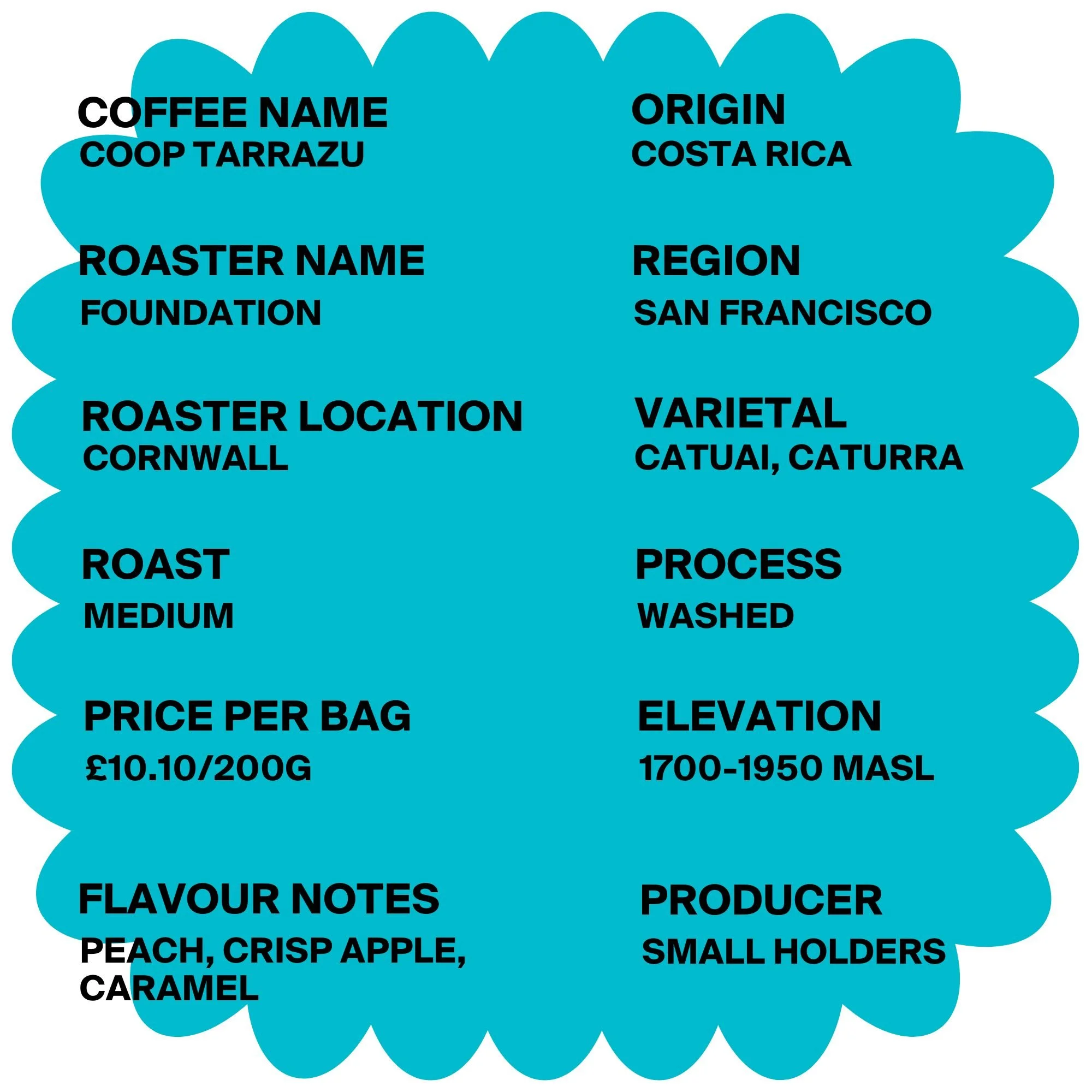 Foundation Coffee Roasters, St Ives Review Batch Coffee