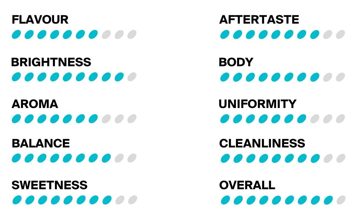 Oddy Knocky Coffee Roasters Scores (17).jpg