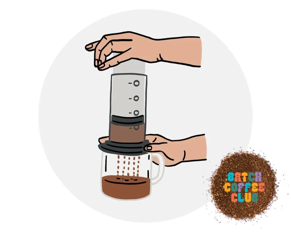 Aeropress Grind Size (How to tell if it's too fine or coarse)