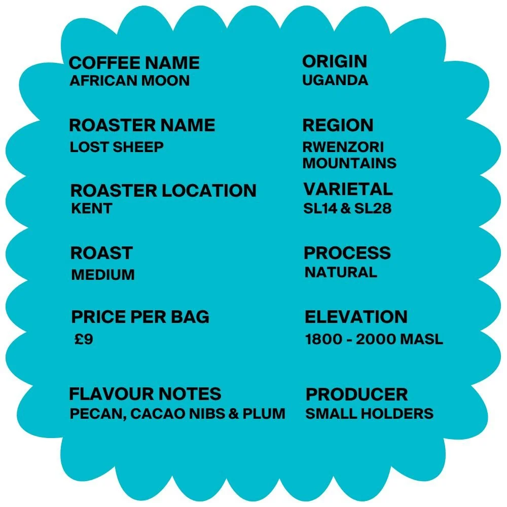 Lost Sheep Coffee Roasters Details (69).jpg