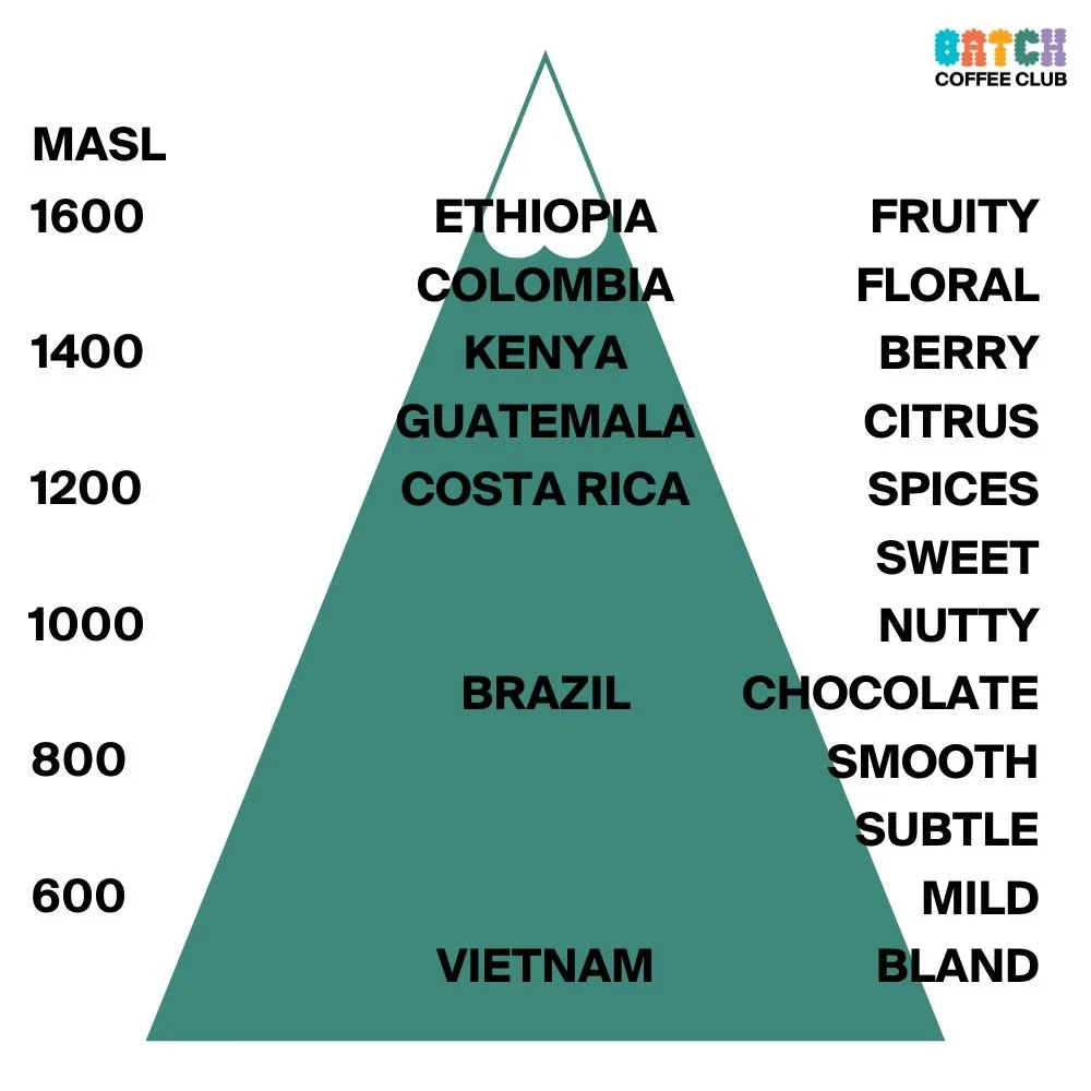 How Altitude Affects the Taste of Coffee Beans (Higher the Better)