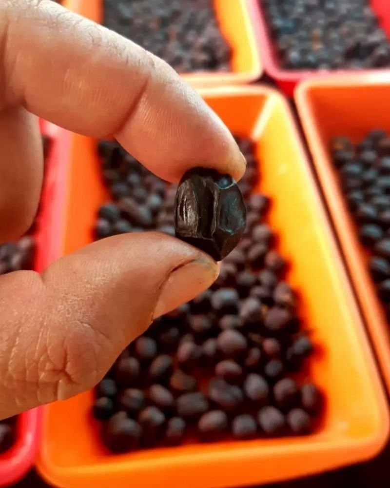 Finca El Mirador - Natural Coffee