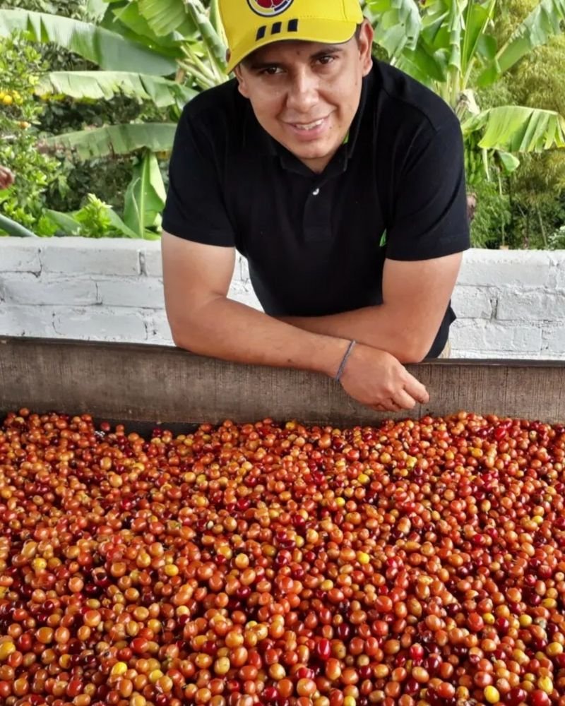 Goldbox coffee roasters.