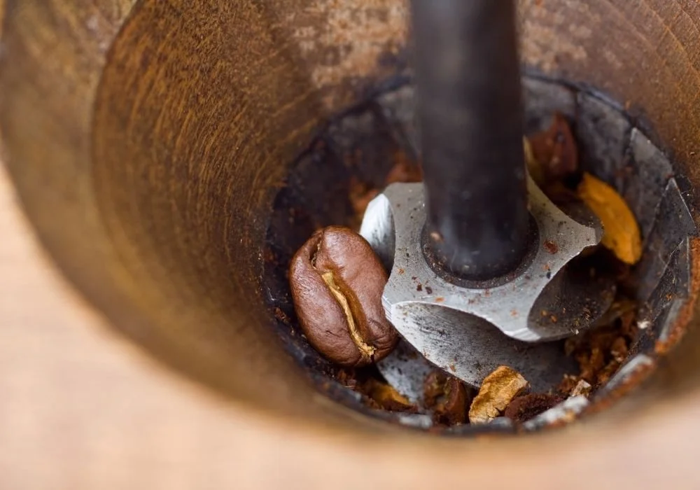 Conical Coffee Grinder Burrs