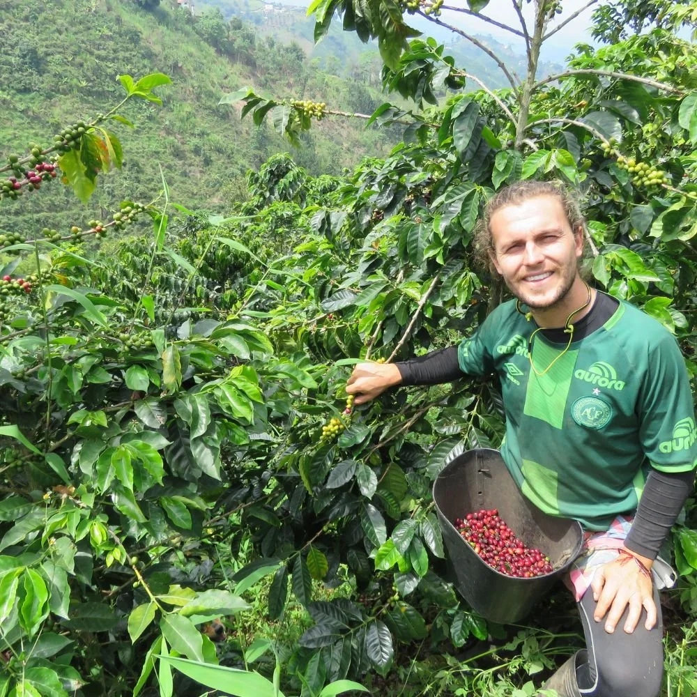 How Altitude Affects the Taste of Coffee Beans (Higher the Better)