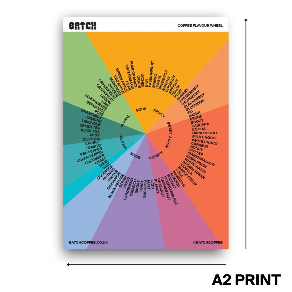 Flavour Wheel Poster Valentines