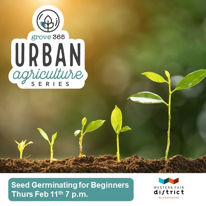 Germinating Seeds for Beginners, with Jeff Rowley from Fanshawe College