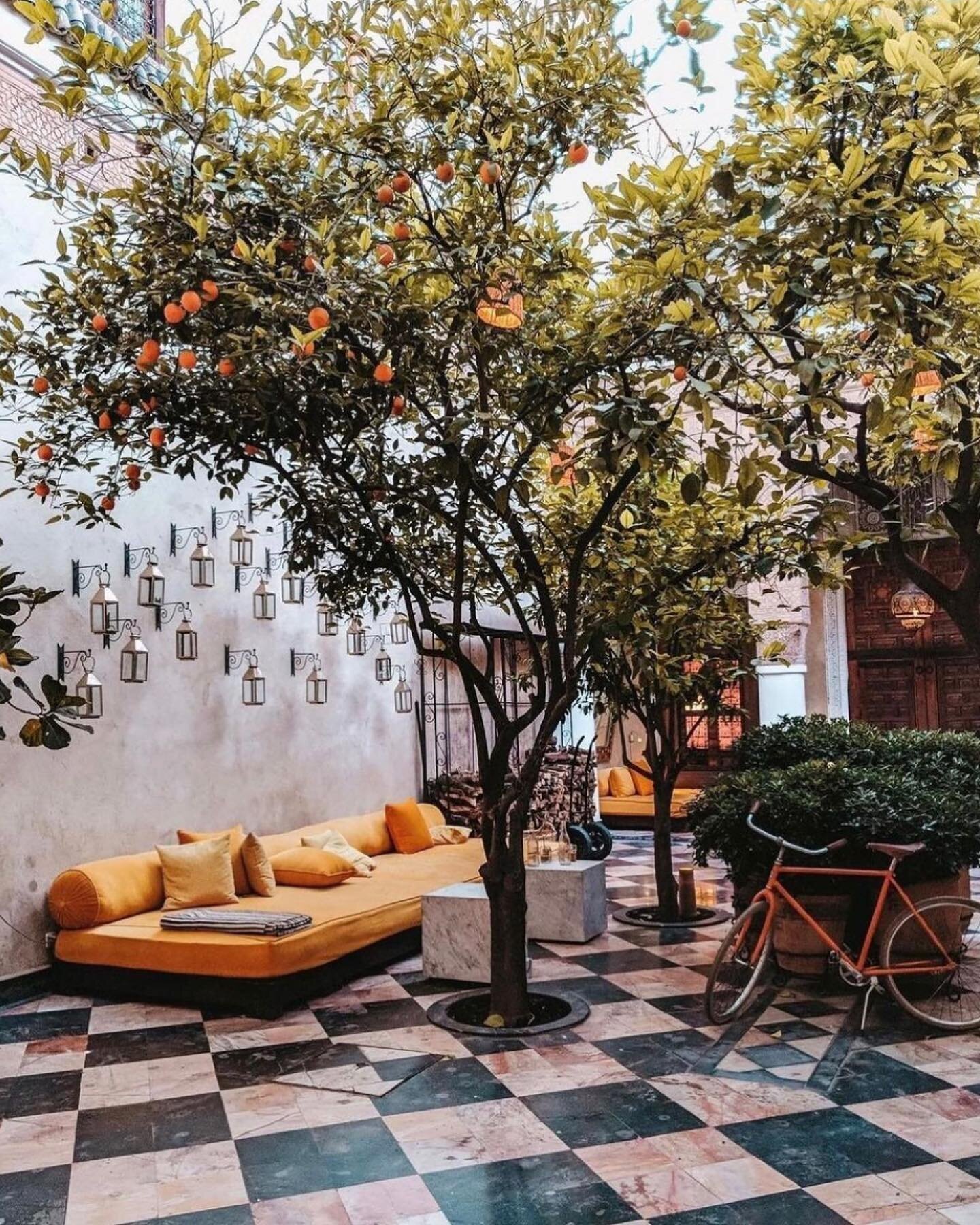 We can almost picture ourselves lounging in this quaint courtyard of @elfennmarrakech with a glass of mint tea and the gorgeous scent of orange blossoms perfuming the air. What vacation dreams are made of! 🍊

Meanwhile, we are preparing for a short 