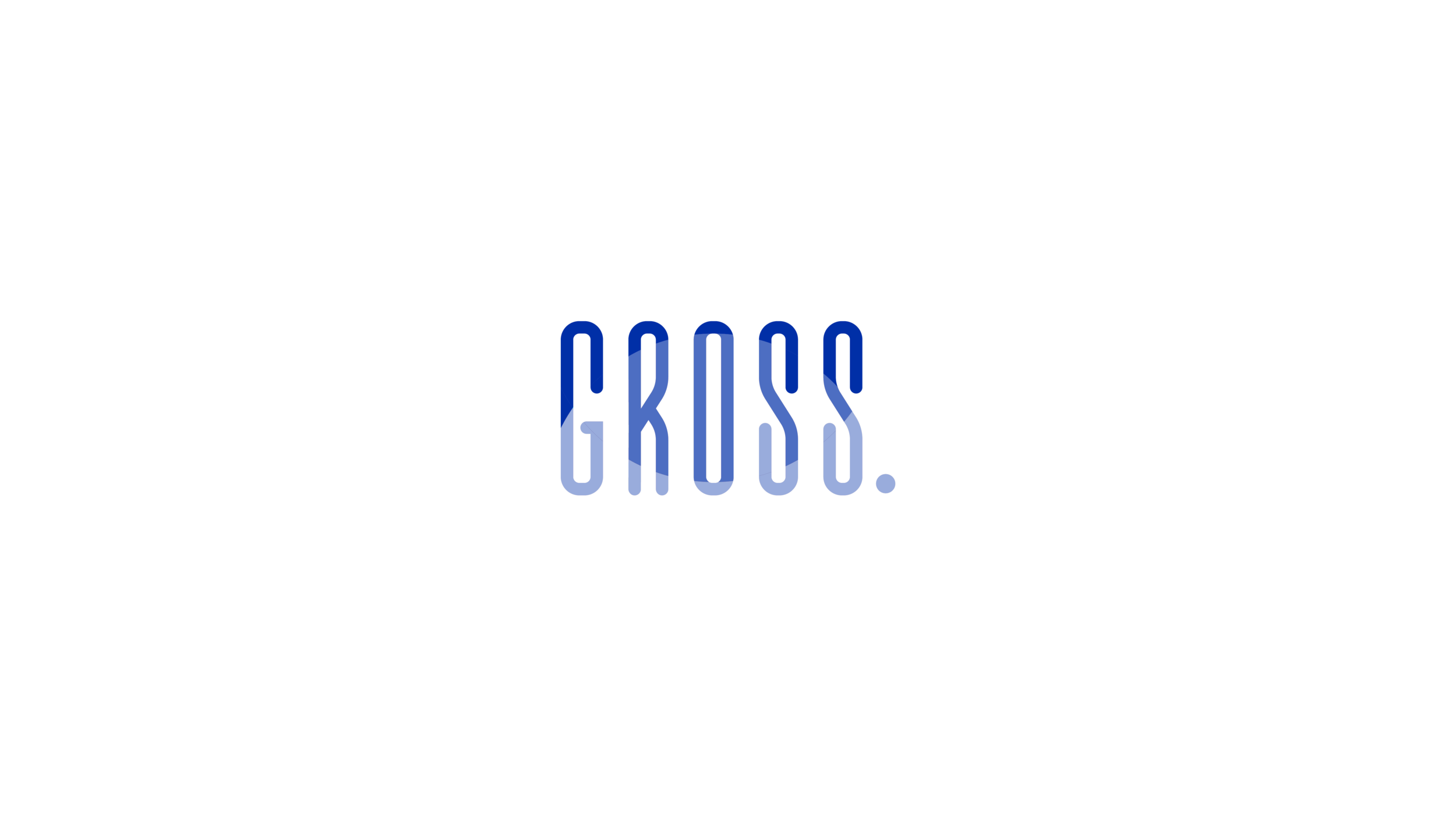 logo flow5.png