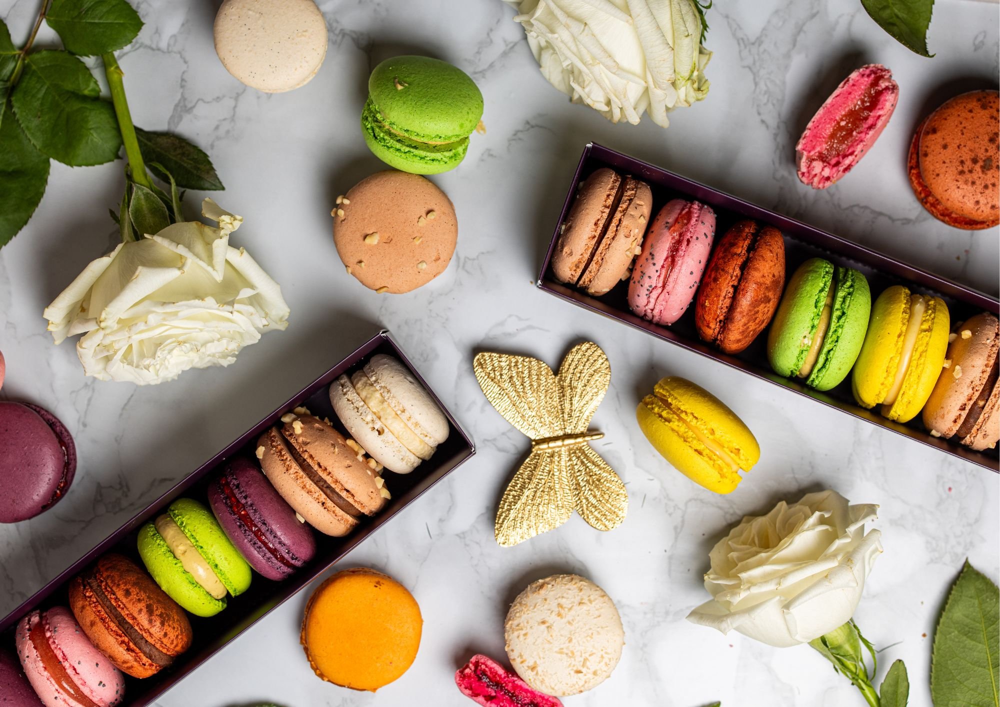 Design sans titre (25).jpg