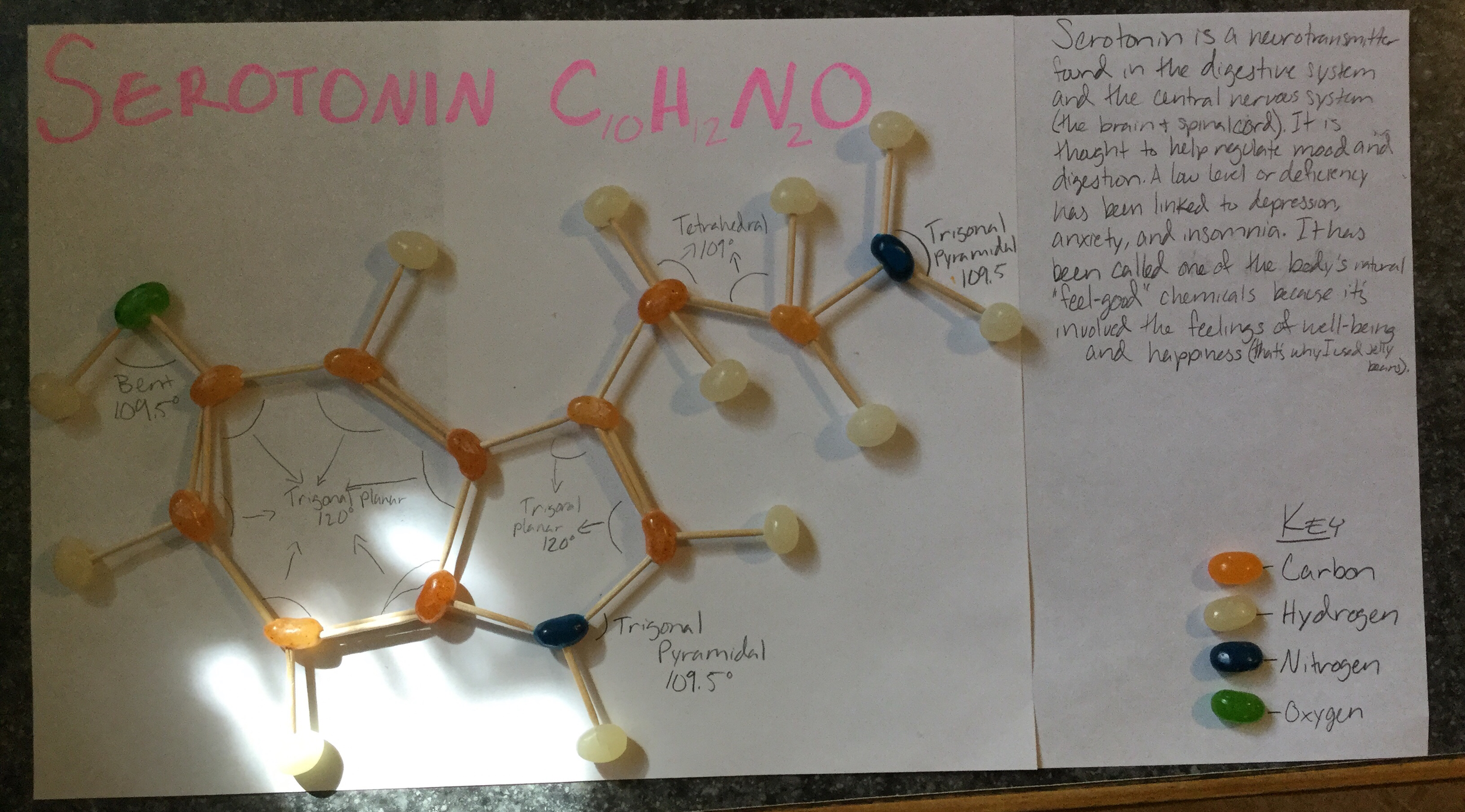 ChemModel3.png