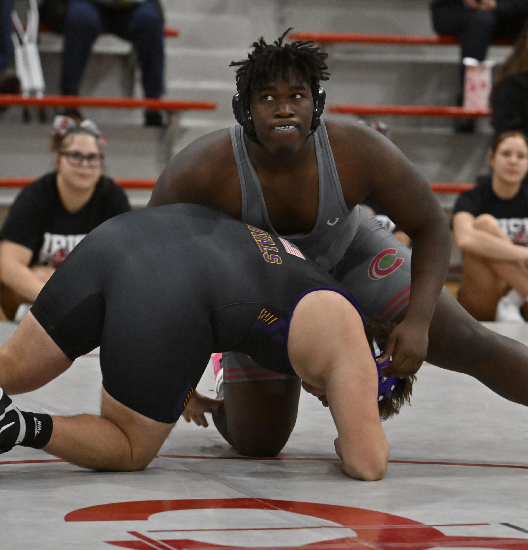 Wrestling Shines at Division II Sectional Championships