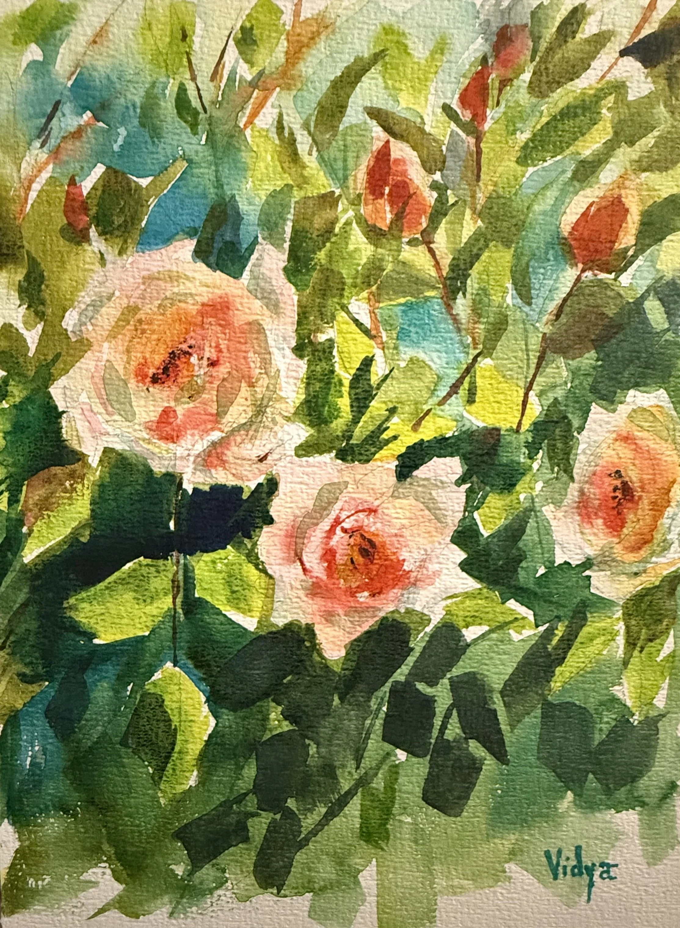 Roses in watercolour