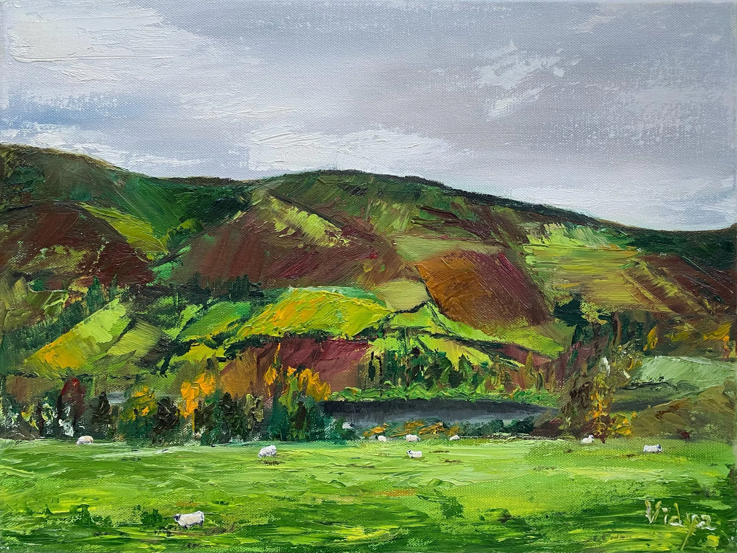 IRISH CARPET, 2019
Oil paints on canvas, A3
The second slide is the reference picture for this painting. I had clicked the picture sometime in Dec 2018 in the Dublin mountains.
Even a gloomy atmosphere can bring much cheer as a painting.
I have appli