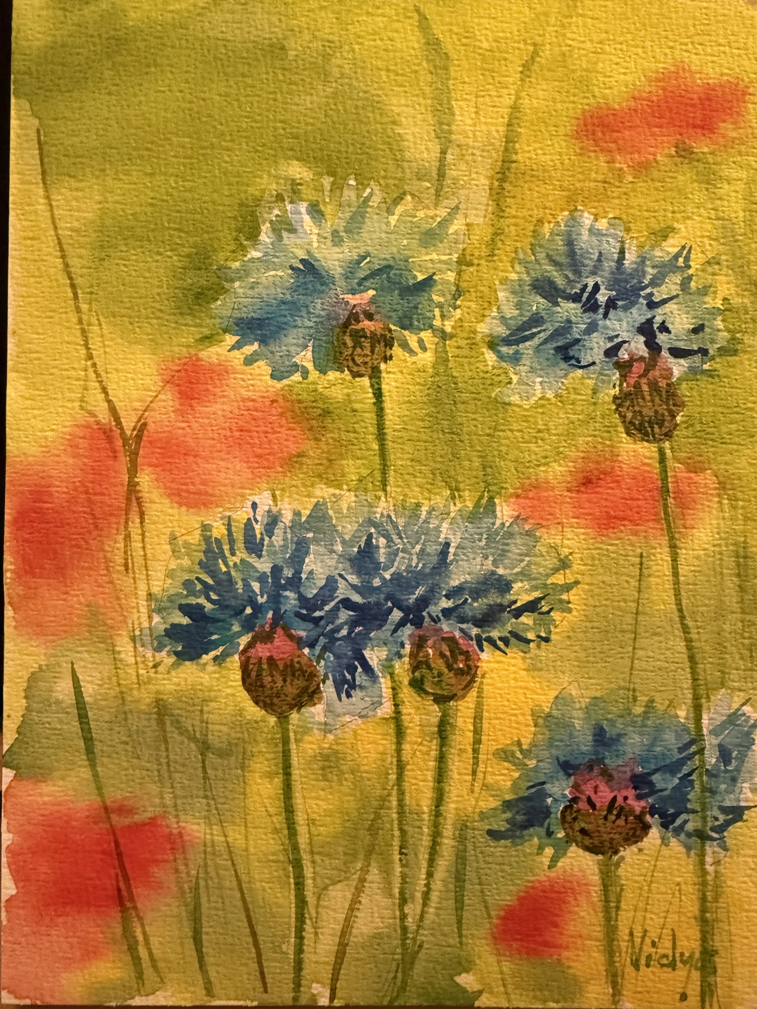 Cornflowers