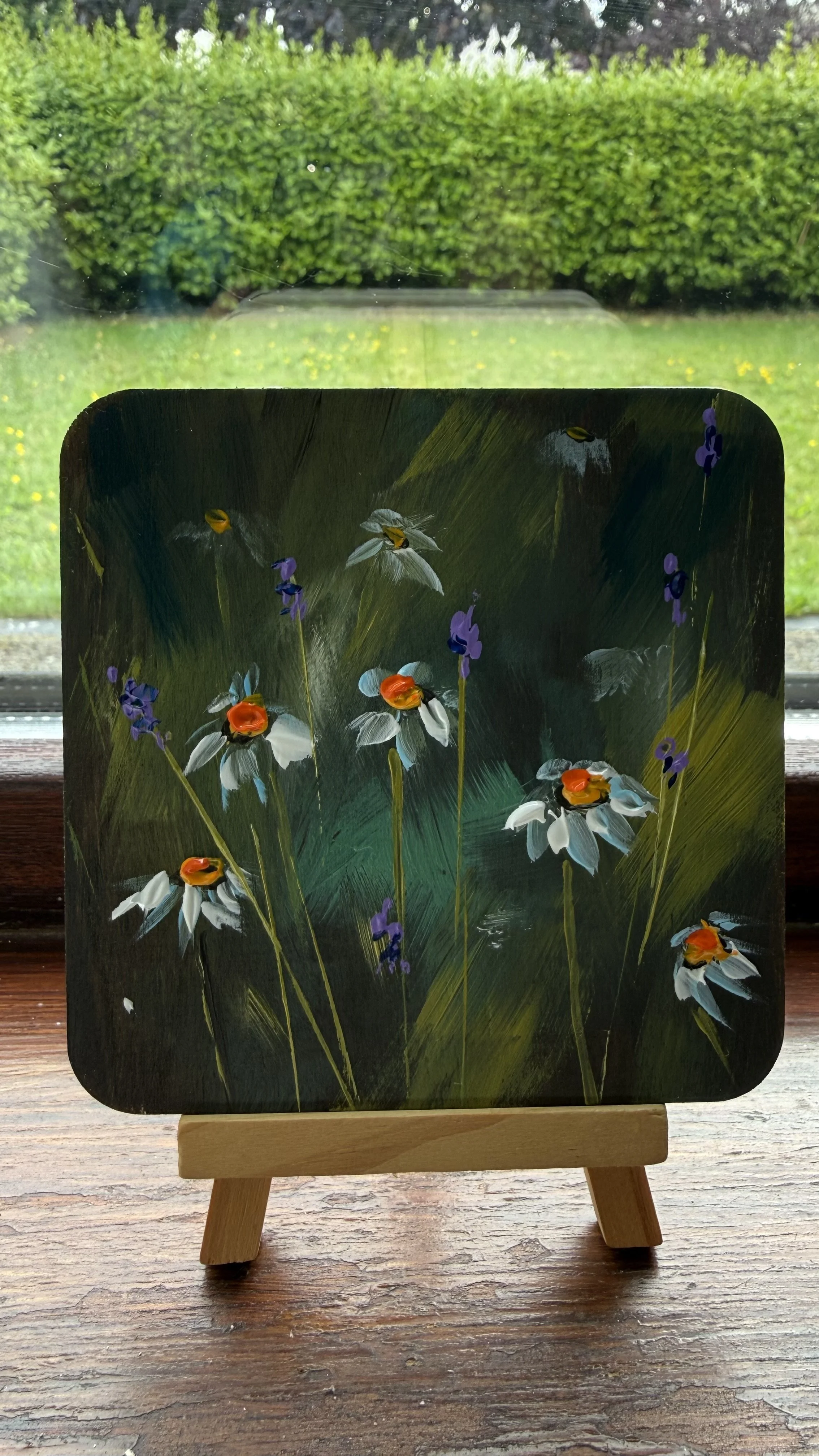 DAISIES