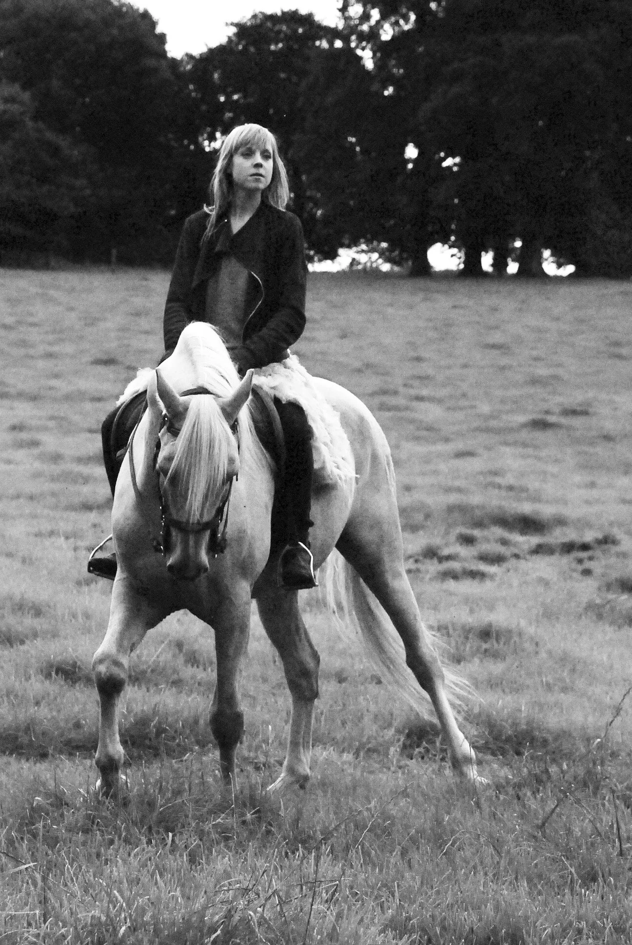 DSC_0312 copy.jpg