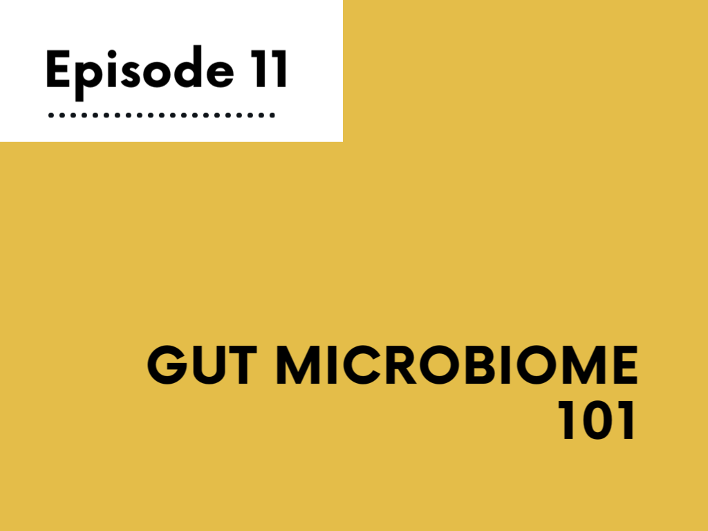 Gut Microbiome 101