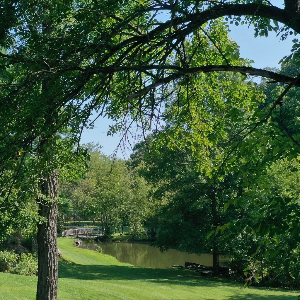 DJI_0757 - Version 2.jpg