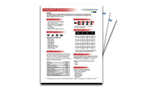 Image of PDF cover of Strongbridge Electrofusion Reducers - Specification Sheet