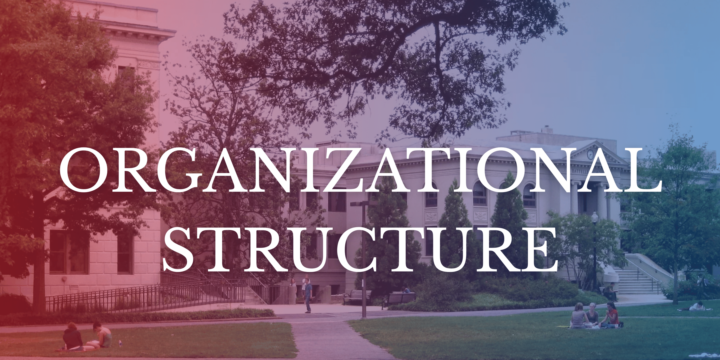 UNDERGRADUATE SENATE (3).png