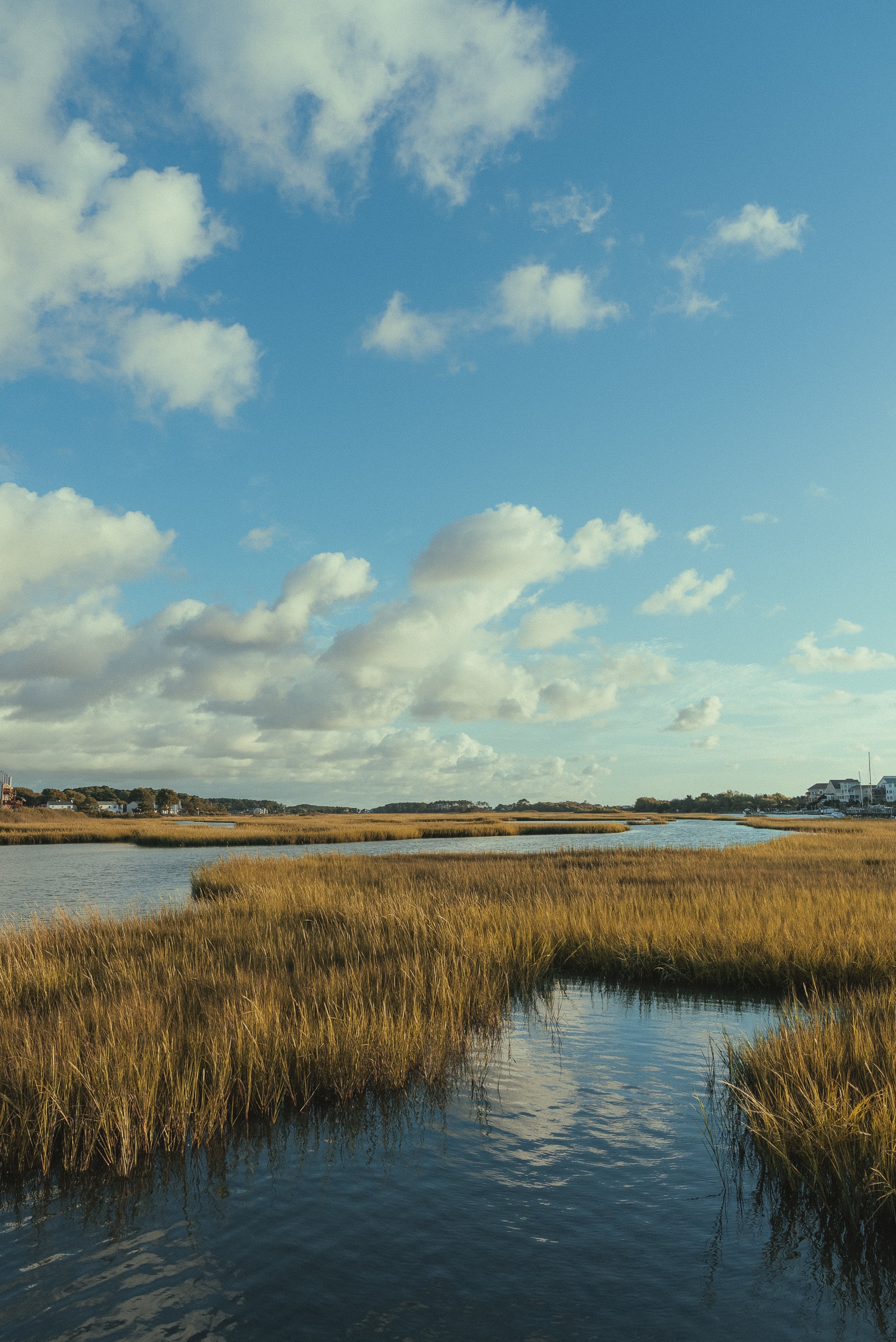 Tim- south hall landing 9-2-25 (621 of 52)01842.jpg