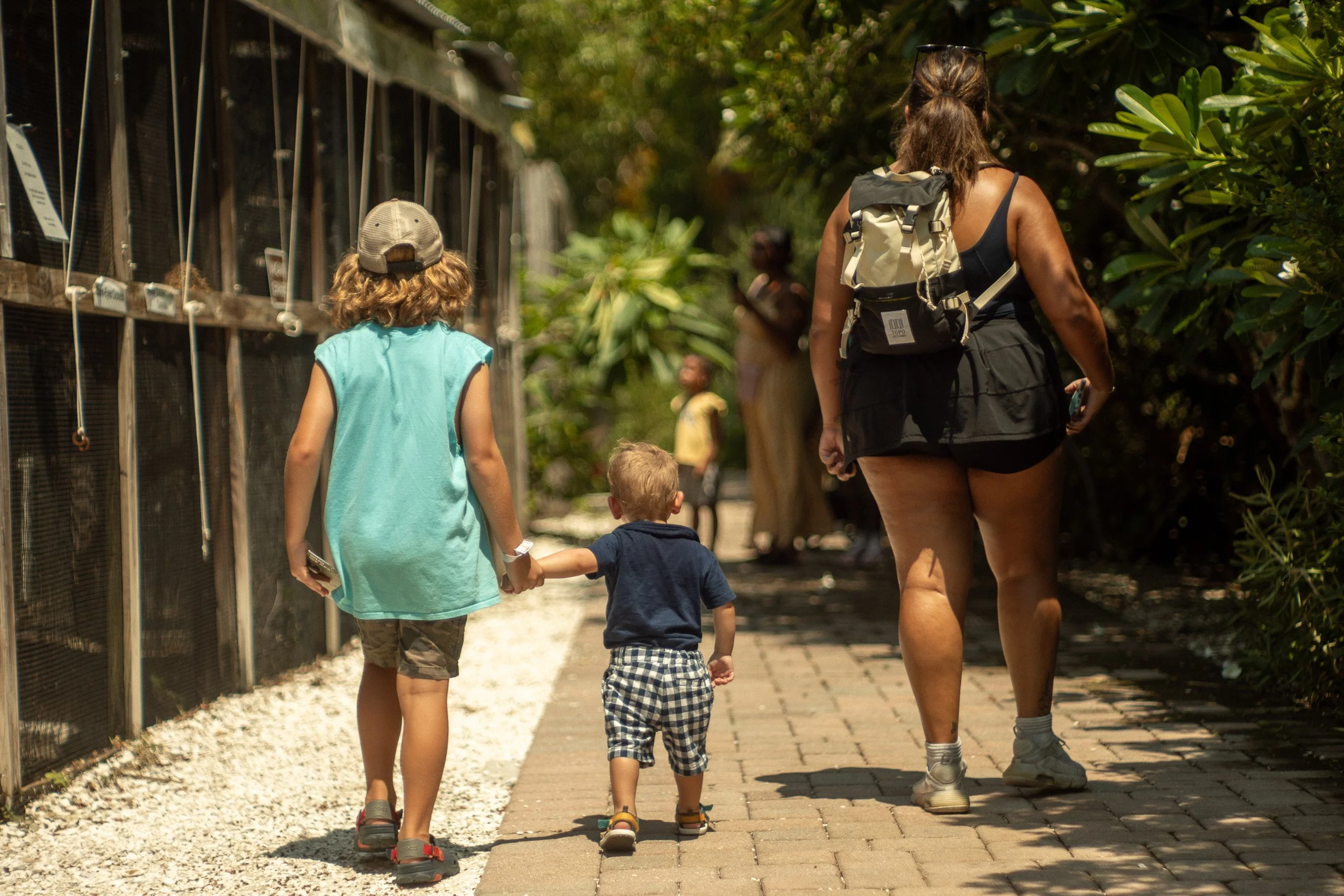 three shot in florida-1.jpg