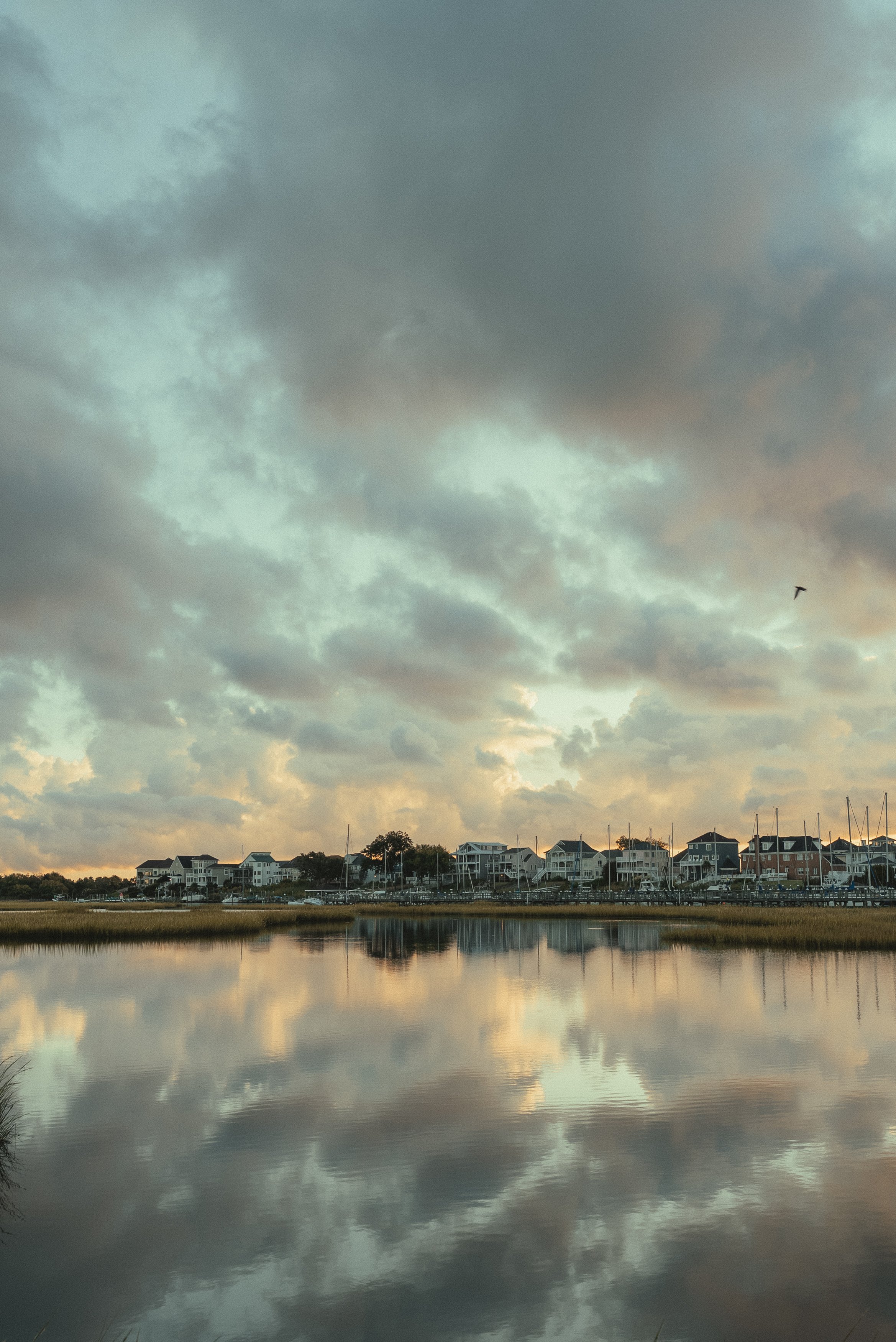 Tim- south hall landing 9-2-25 (630 of 52)01870.jpg