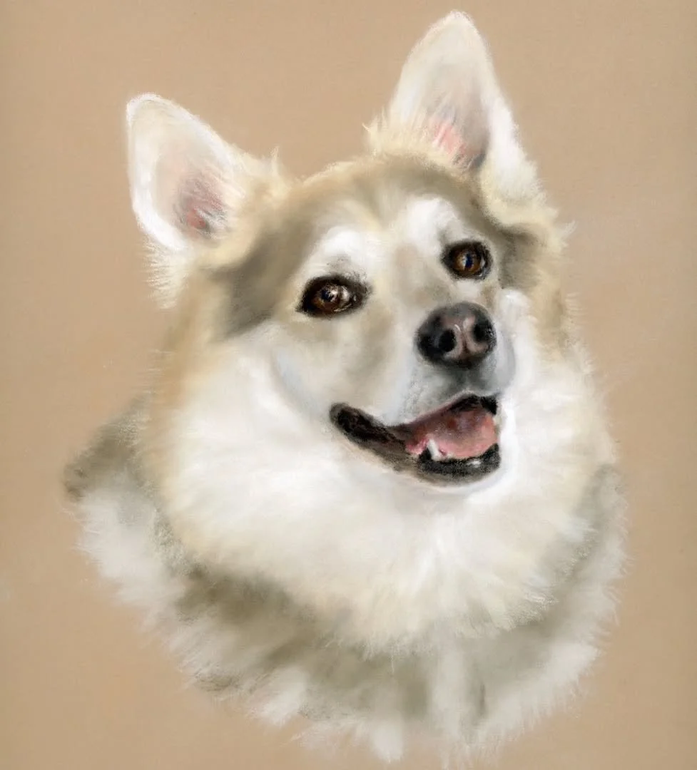 A memorial portrait of beautiful Bella