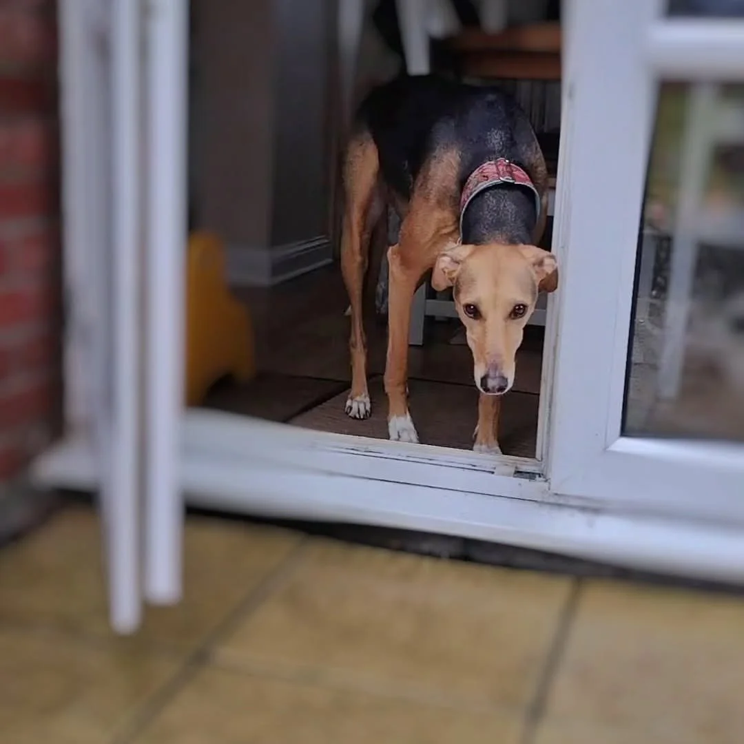 Another nope day for Buck