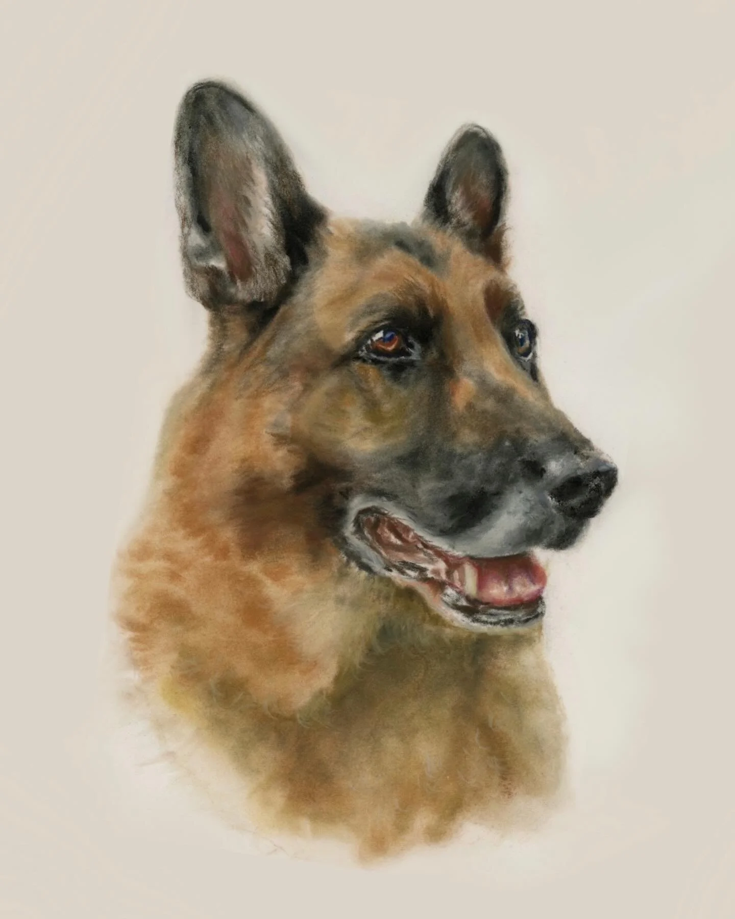 Memorial portrait for this beautiful boy Jasper 🤎