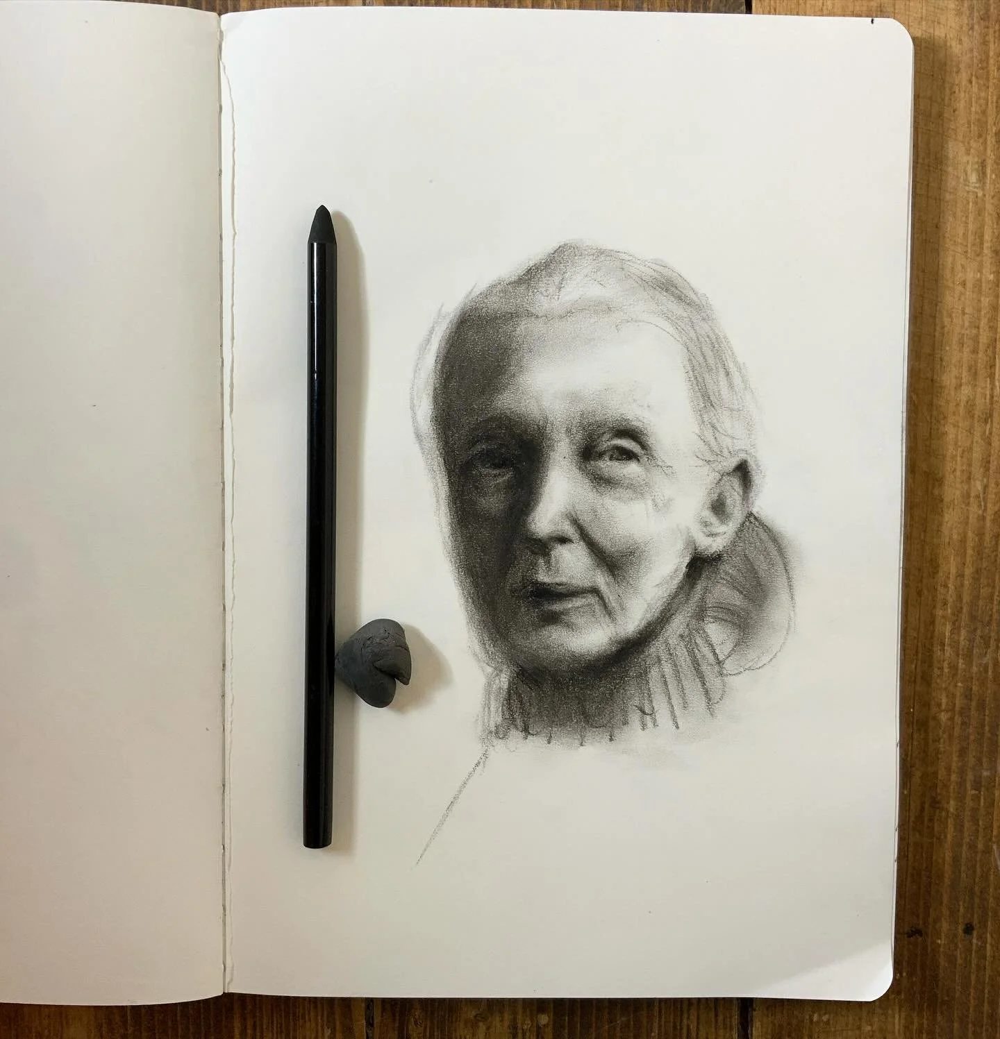 One for my own sketchbook. She was one of the reasons I studied Zoology in college and specialised in Animal Behaviour. Teenage me fancied myself as the next Jane Goodall or Dian Fossey. I spent three years doing observational research on the deer in