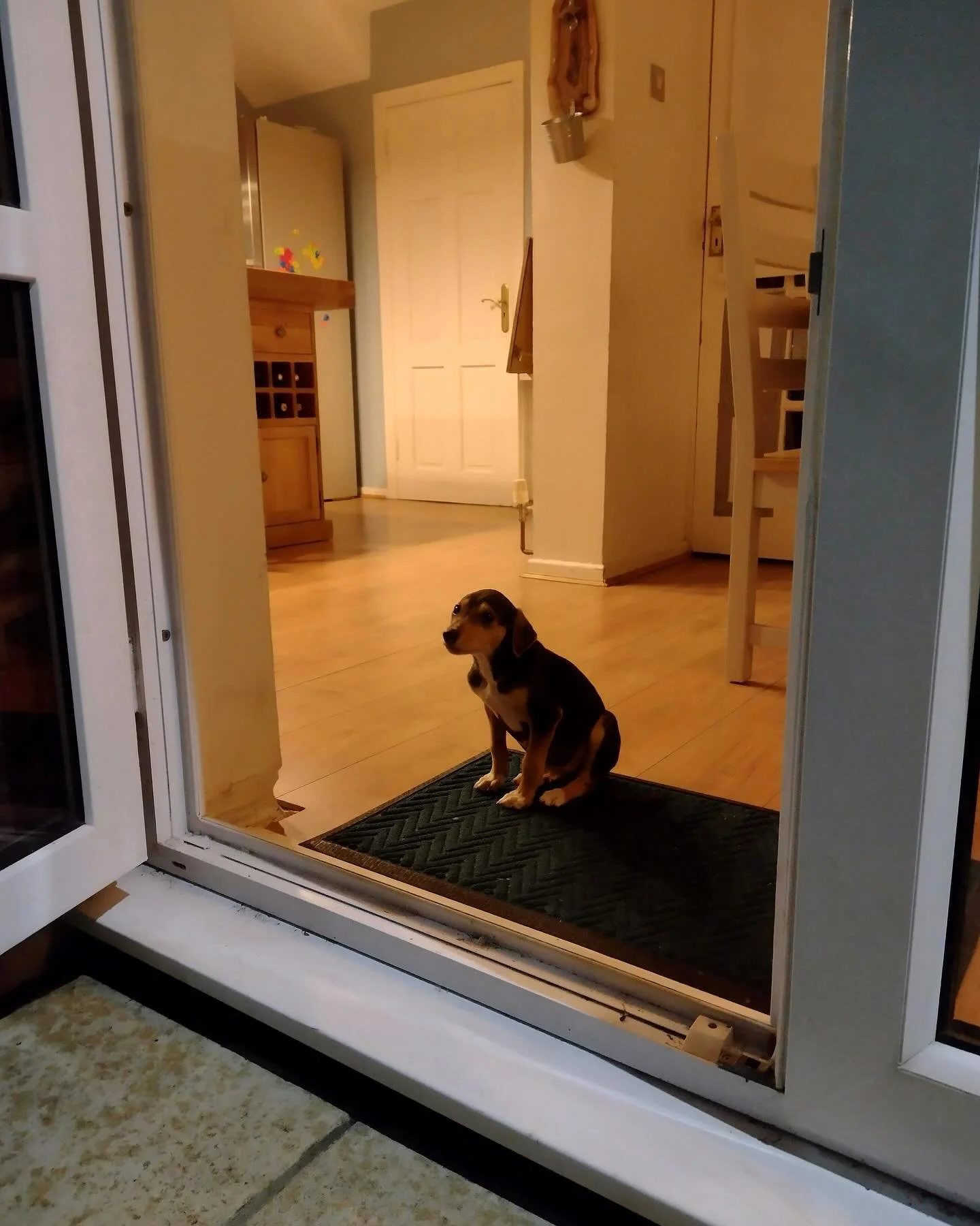 4 years we&rsquo;ve had this little darling in our family. 4 years of nopes to rainy morning wees. 🤎