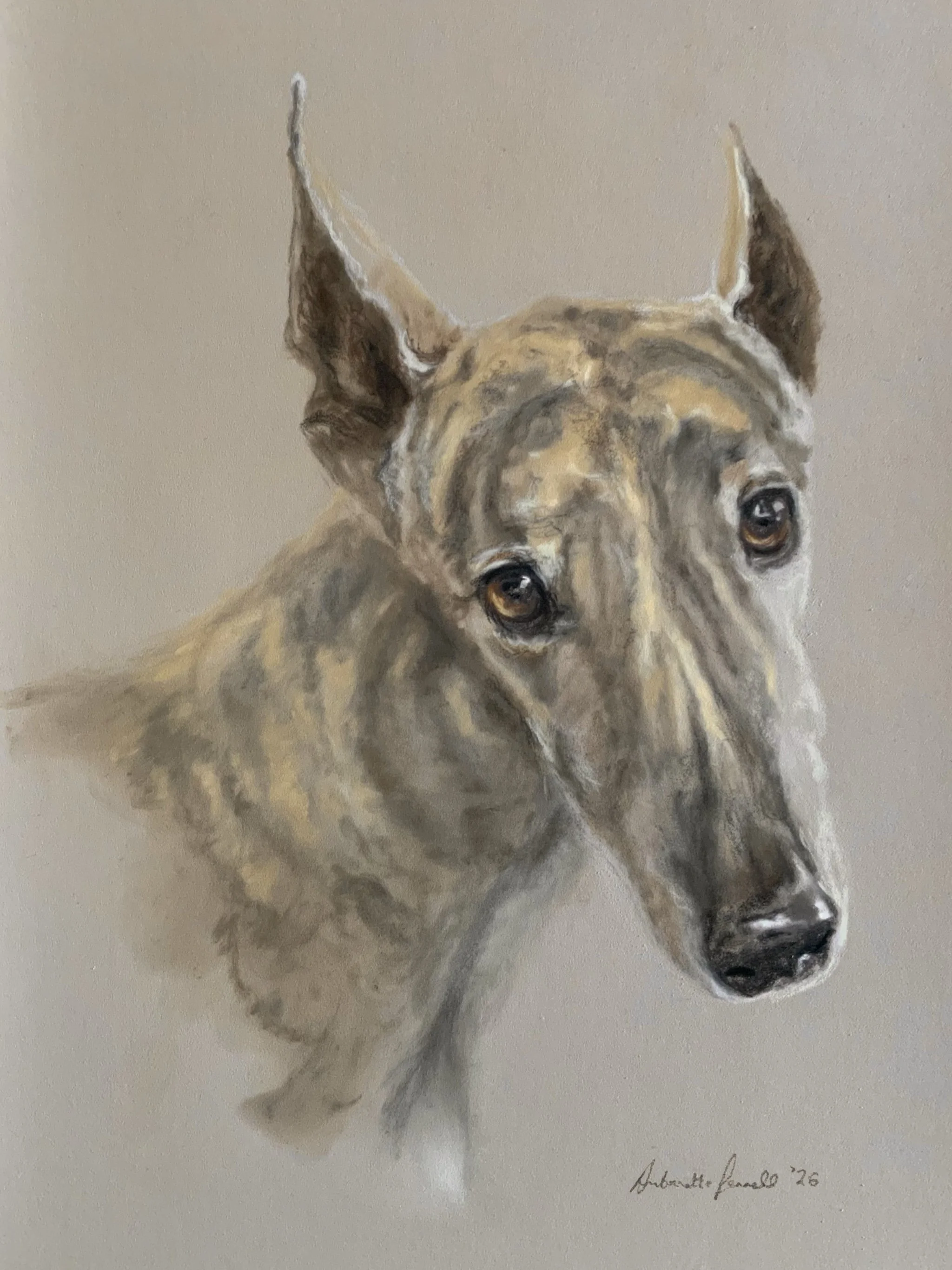 Vinnie_Greyhound_Final.JPG