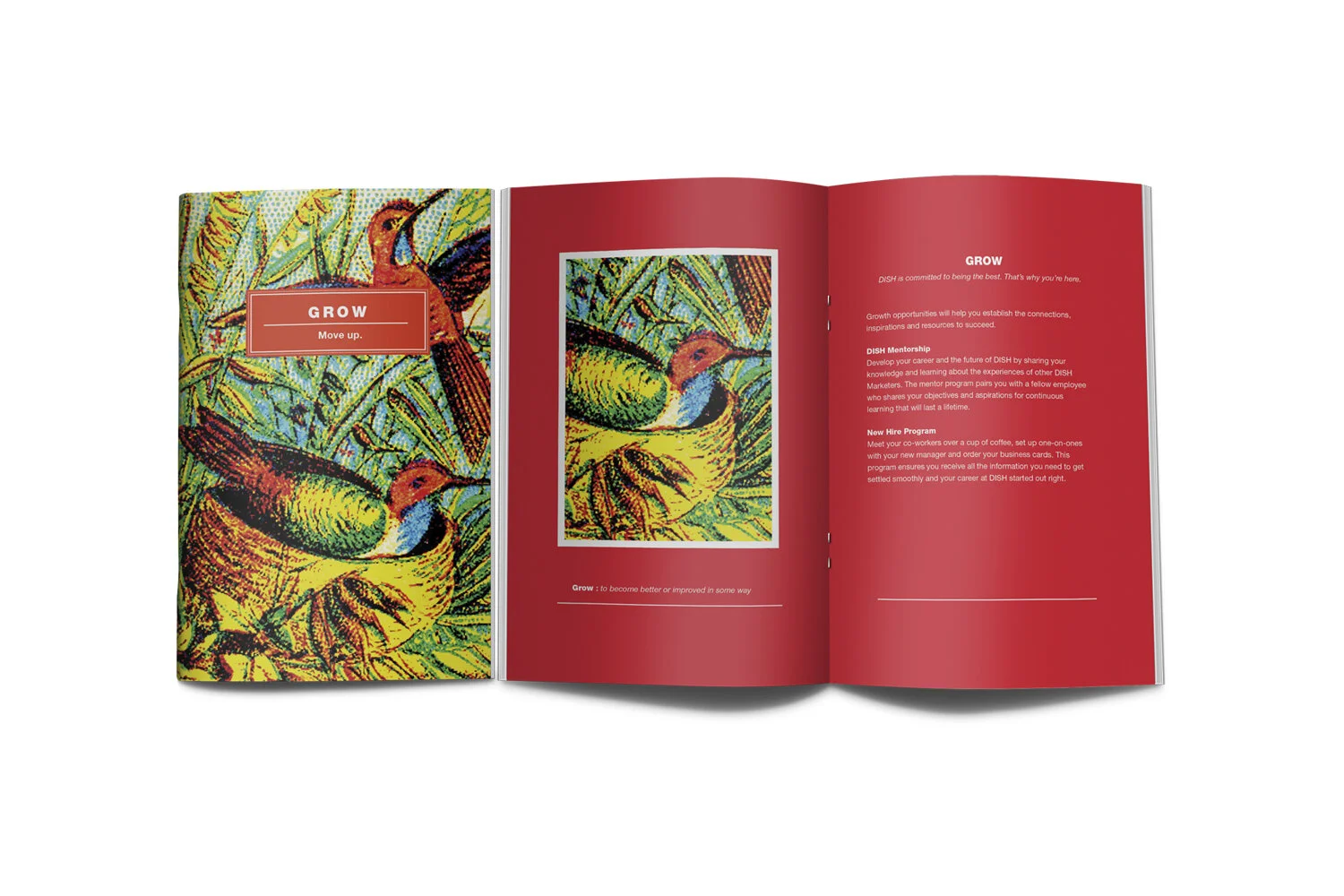 Dish Marketing College Pamphlets Ryan Hanke