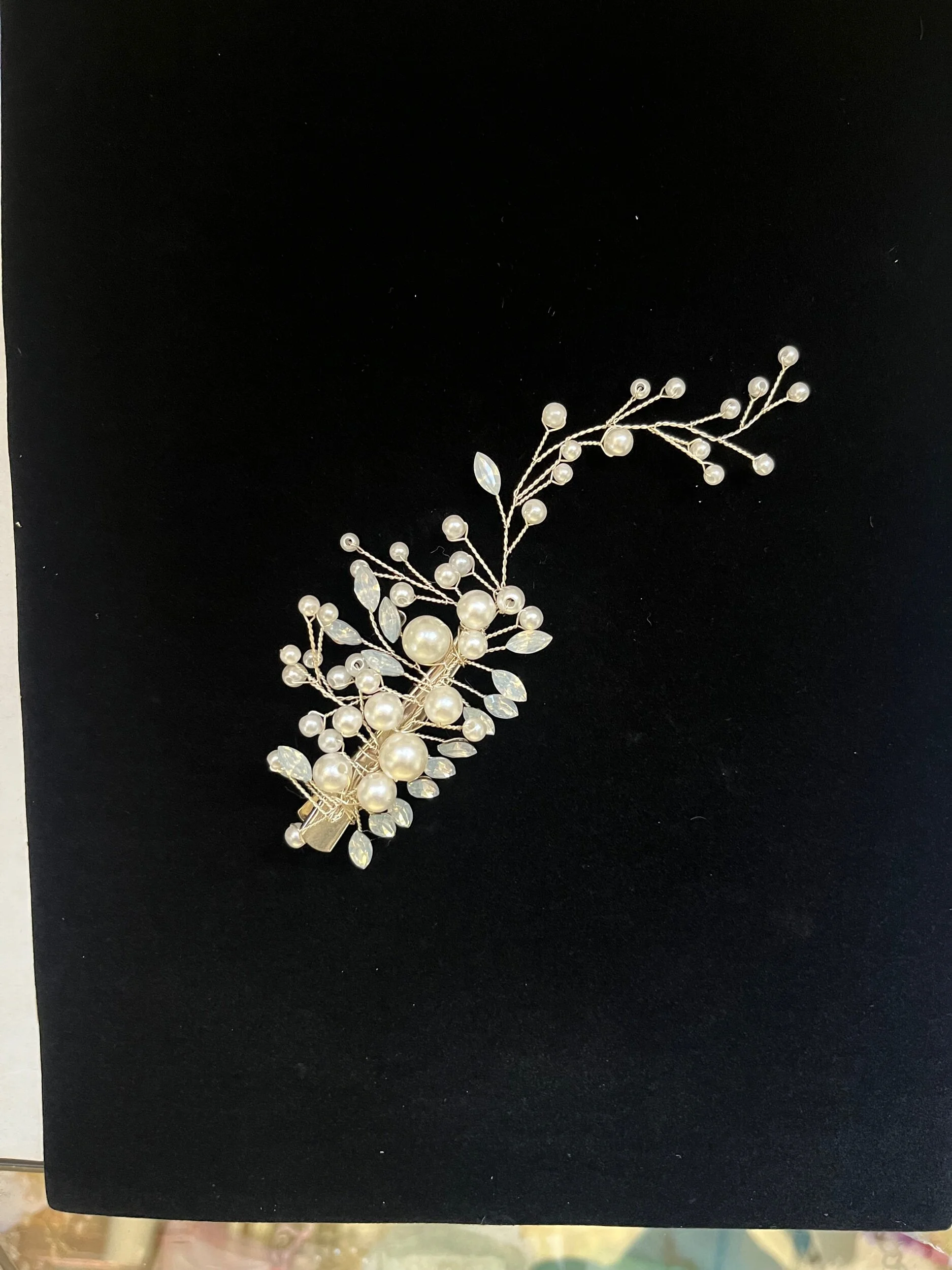 1D68E9C4-0046-4495-85D1-C4FC9477A2B6