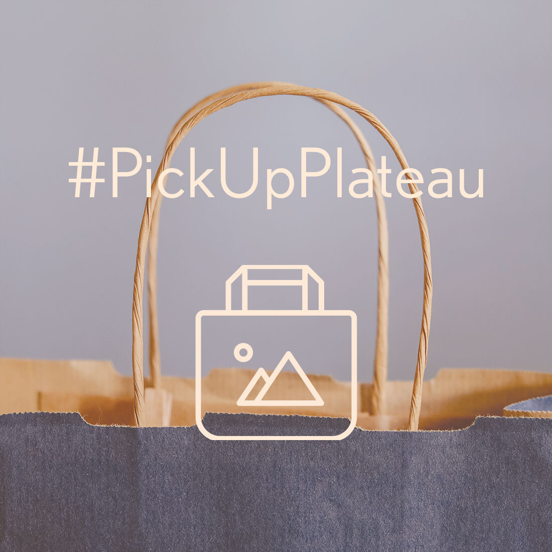 #PickUpPlateau-Bag.jpg