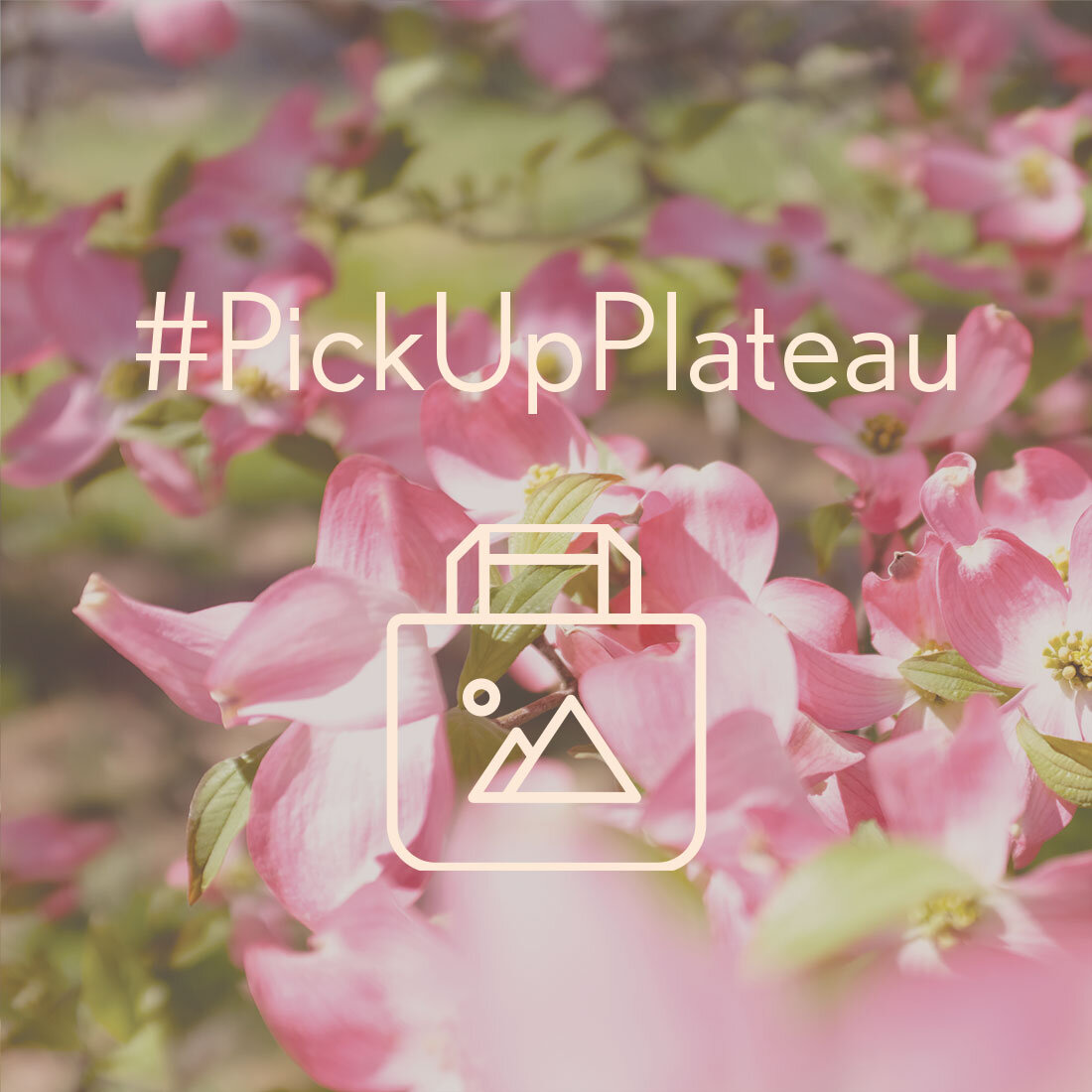 #PickUpPlateau-Flowers.jpg