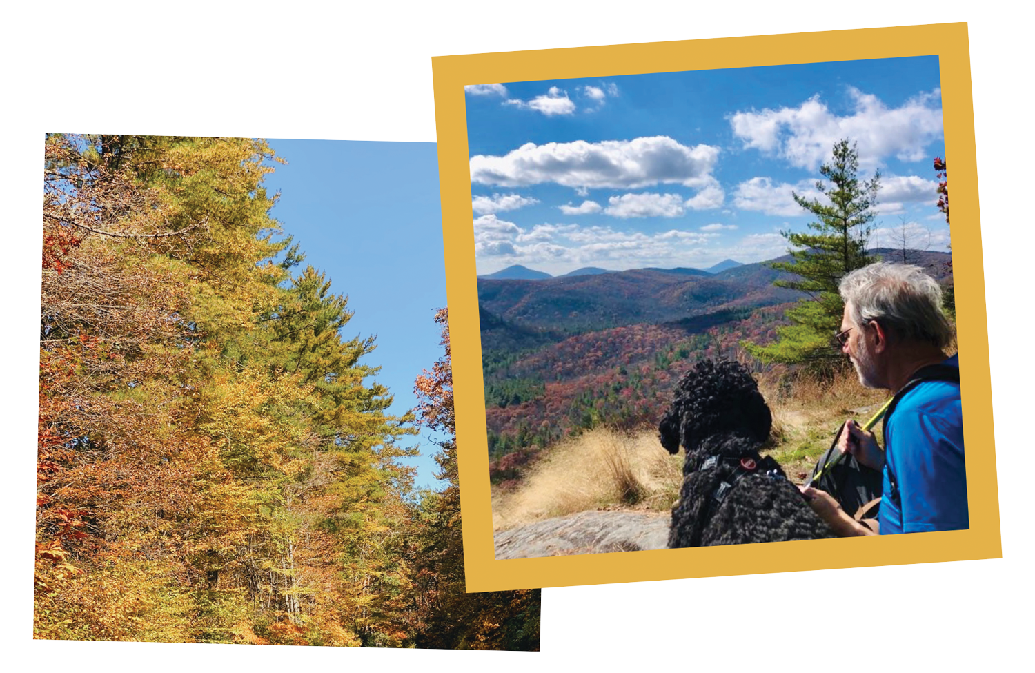 Panthertown Valley Trail, Western North Carolina